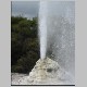 Rotorua 051.jpg